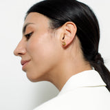 Regal Drusy  Earrings