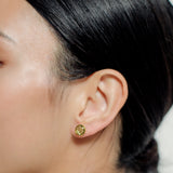 Regal Drusy  Earrings