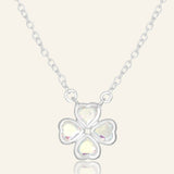 Daisy Bloom Saje