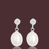 Ivory Luminary Saje