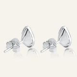 Silverleaf Sparkle Saje